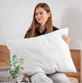 EMI Eucalyptus aromapárna 50x70 cm