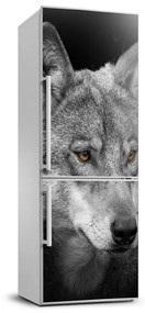 Hűtő matrica Portré a farkas FridgeStick-70x190-f-103311727