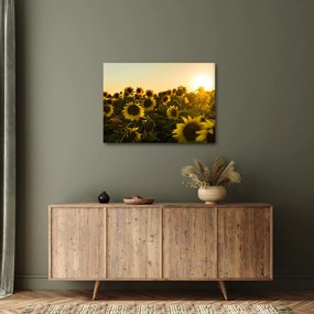 A napraforgó mező képe (70x50 cm)