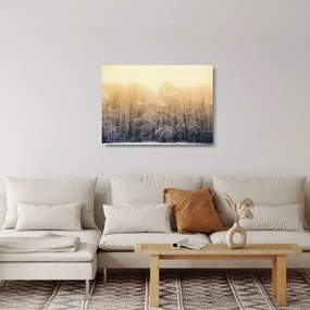 Fagyos erdő képe (üvegen) (70x50 cm)