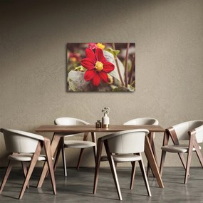 Virág képe (70x50 cm)