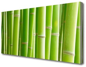 Vászonkép Bamboo Stem Flower Plant 100x50 cm