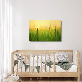 Kép - Mező gabonával (90x60 cm)
