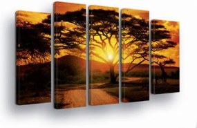 Vászonkép 150x100 Szavanna Afrika naplemente fa akác természet táj