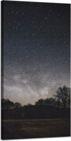 Vászonkép Kozmosz Csillagos égbolt 40x80