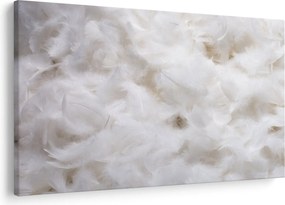 Kép - Fehér tollak (90x60 cm)