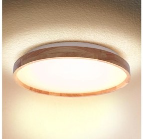 Brilagi Brilagi - LED Mennyezeti lámpa ALSON LED/24W/230V tölgy BG1622