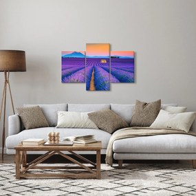 Kép - Levendula mező (90x60 cm)
