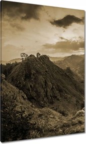 Vászonkép 70x100 Barna tájkép Tájkép