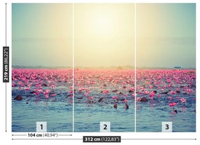 Fotótapéta Víz liliom tó 104x70 cm