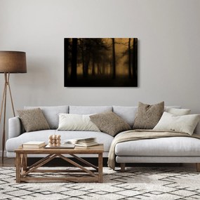 Kép - Sötét erdő (90x60 cm)