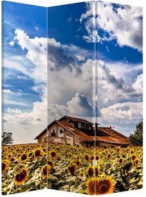 Paraván - Napraforgó mező (126x170 cm)