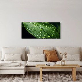 Kép - Levél eső után (120x50 cm)