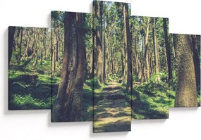 Kép egy út a fák között (150x105 cm)