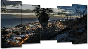 Festmények 150x80 Tájkép pálmafákkal