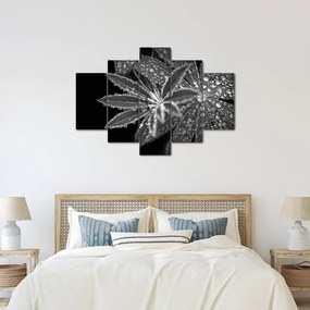 Kép - Levelek cseppekkel (150x105 cm)