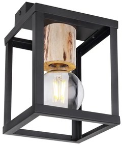 Globo 15476D - Mennyezeti lámpa HAGAR 1xE27/60W/230V