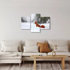 Egy mókus képe (90x60 cm)