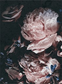 Fotótapéta Bazsarózsa rózsa csokor sötét vinil háttér 184x254 +ragasztó