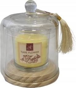 Illatgyertya üvegbúra alatt Tiare Flower 10h