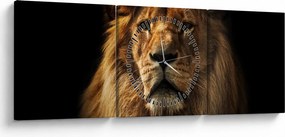 Kép - Dús sörényű oroszlán (órával) (90x30 cm)