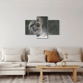 Kép - Mókus télen (90x60 cm)