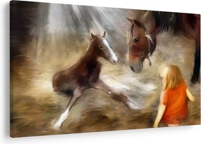 Kép - Üdvözöljük a világban, csikó (90x60 cm)