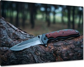 Vászonkép 100x70 Kés fekszik egy fatörzsön