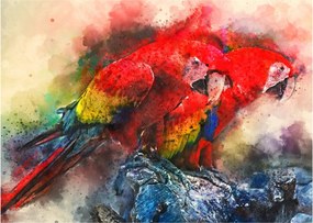 Vörös ara papagájok képe (70x50 cm)