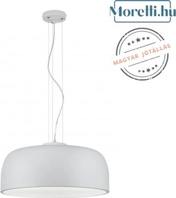 TRIO 309800431 BARON Modern Függesztett Lámpa LED IP20