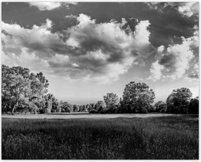 Poszterek 50x40 Vidéki réti táj