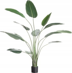 Dekoria Banánfa cserépben 185cm szürke