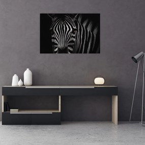 Zebra képe (90x60 cm)