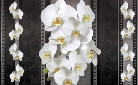 Tapéta Fehér orchideák sötét háttér Elegancia Perspektíva 200x140 +ragasztó