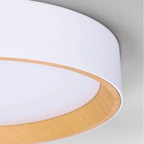 Brilagi - LARIOS LED dimmelhető mennyezeti lámpatest LED/72W/230V fehér Ø 59 cm + távirányító