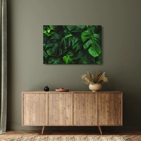 Monstery levelek képe (90x60 cm)