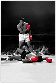 Poszterek 80x120 Muhammad Ali Boxer