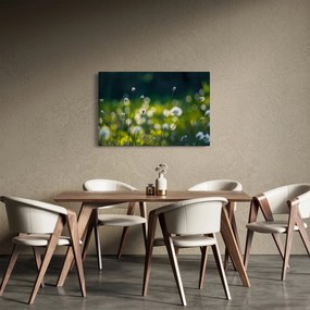 Kép - Fű (90x60 cm)