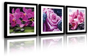 Vászonkép 3 darabos, Orchideák és rózsa, 3 db 25x25 cm méret