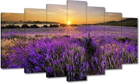 Vászonkép 140x80 Levendula tájkép Nap
