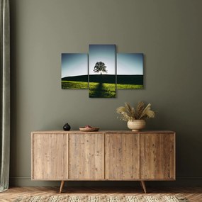 Természet kép - fa (90x60 cm)