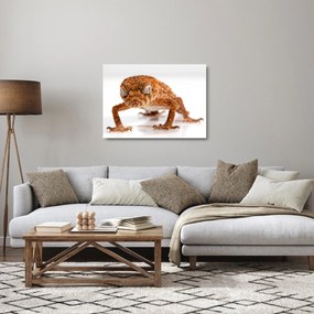 Gyík képe (üvegen) (70x50 cm)