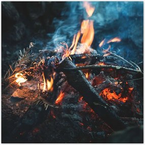 Poszterek 30x30 Tűz az éjszakában az erdőben