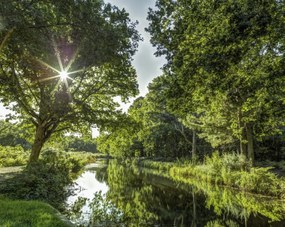 Poszter 76x60,5cm Basingstoke csatorna vidéken 2, Assaf Frank