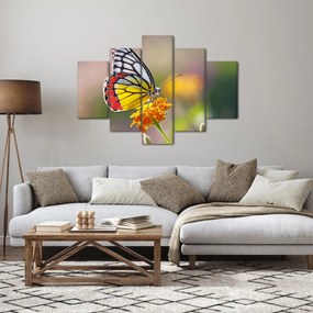 Egy pillangó képe a virágon (150x105 cm)