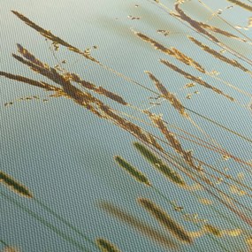 Kép - Réti pillanat (120x50 cm)
