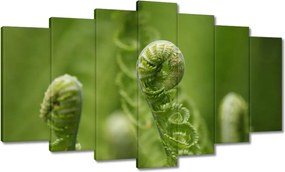 Vászonkép 140x80 Páfrányok Erdő Zöld levél