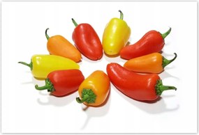 Poszterek 155x105 Paprika Konyha dekoráció