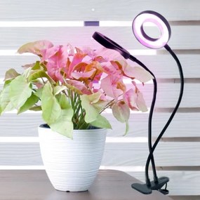 LED flexibilis asztali lámpa csipesszel növényekhez VITARO 2xLED/4W/230V fekete
