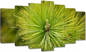 Festmények 140x80 Ág